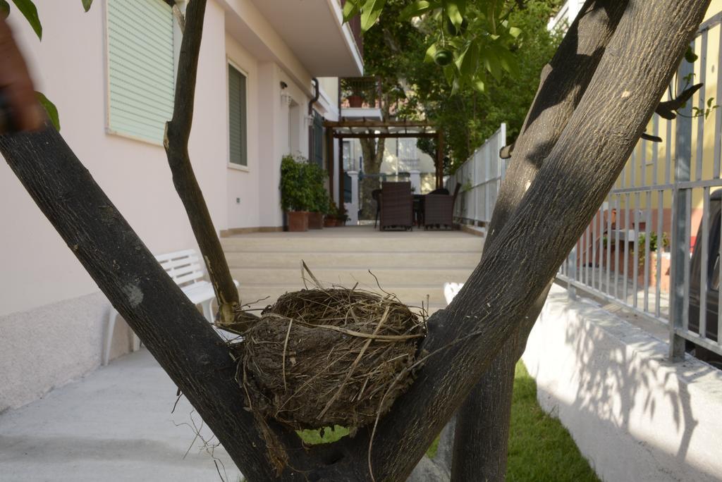 B&B Villa Degli Angeli Praia a Mare Eksteriør bilde